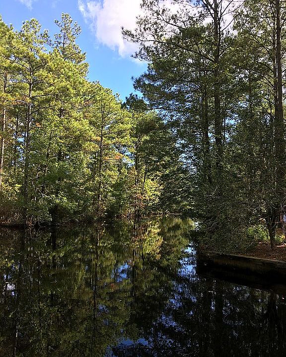 2nd image of 115 Creek Dr