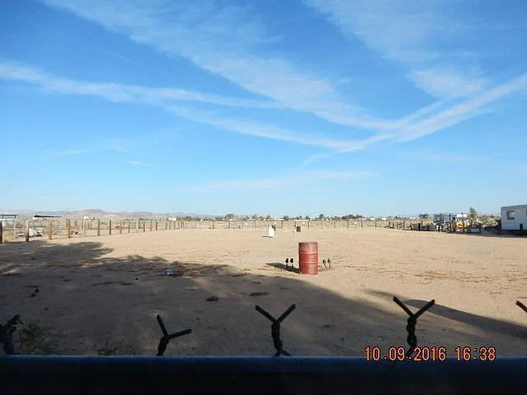 back yard