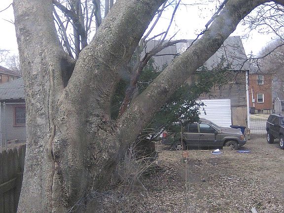 3rd image of 117 E Hudson Ave