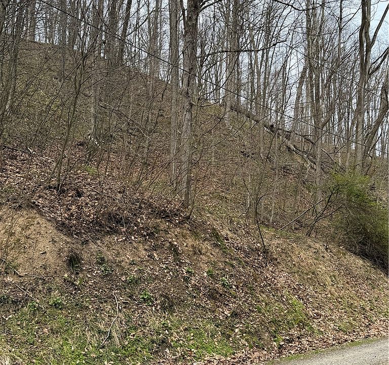 1st image of 0 Coal Bank Hollow Rd