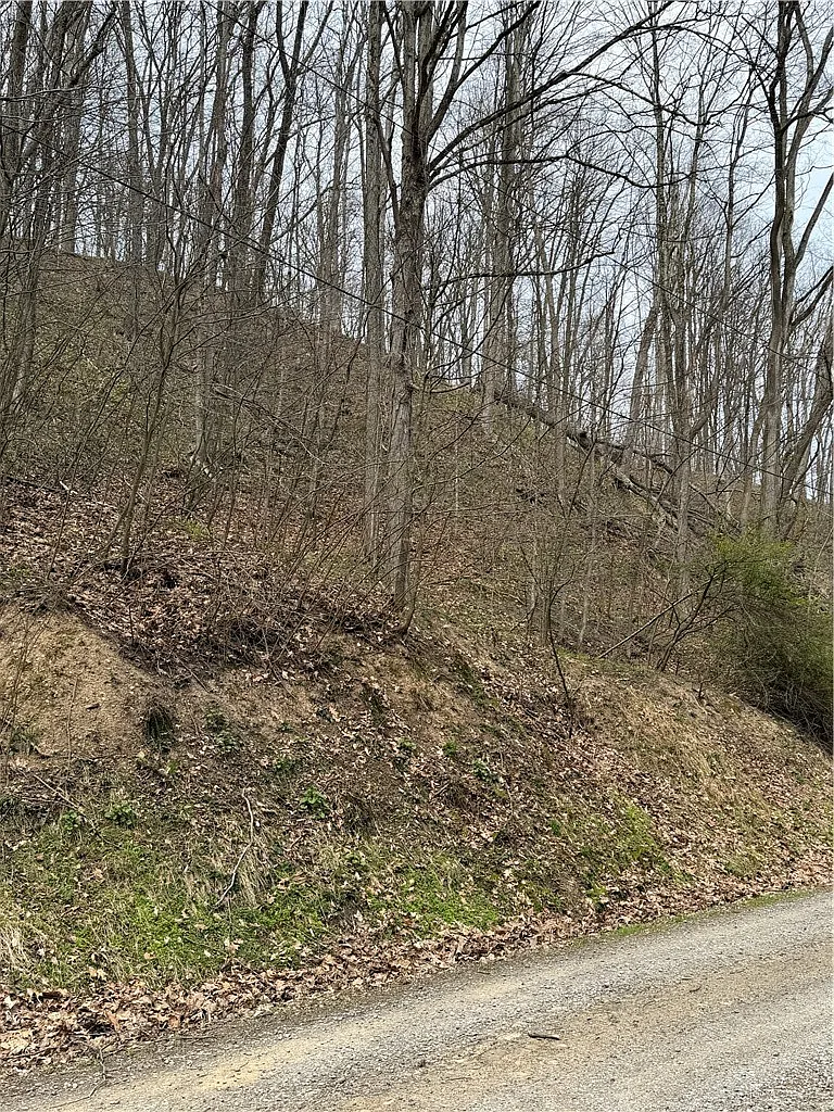 0 Coal Bank Hollow Rd photo 1