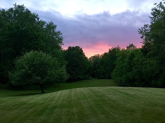 Gorgeous backyard view