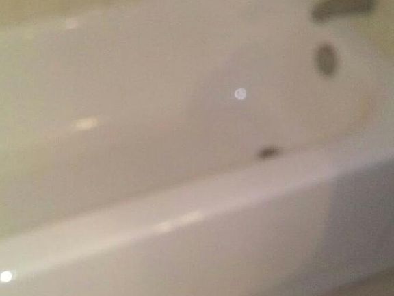 3rd image of 2507 Sunflower Dr