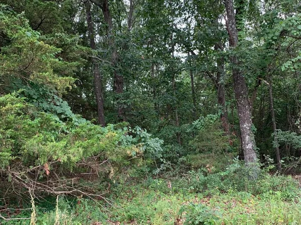 000 E 1650 Road, Stockton, MO 65785