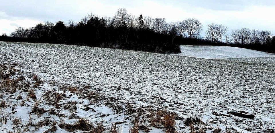 2nd image of Parker Rd