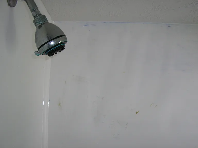 630 Woodford Ave #2 — Photo 13