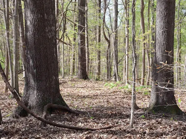 0 Bean Ridge Rd, Thebes, IL 62990