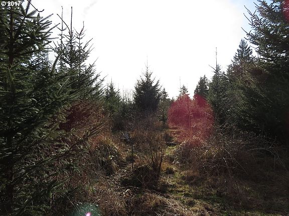 2nd image of 30 Willapa Sands Ln