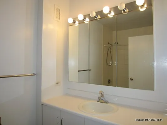 Rented by Citi Habitats | media 25