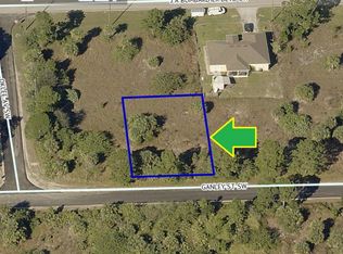 541 Ganley St SW, Palm Bay, FL 32909