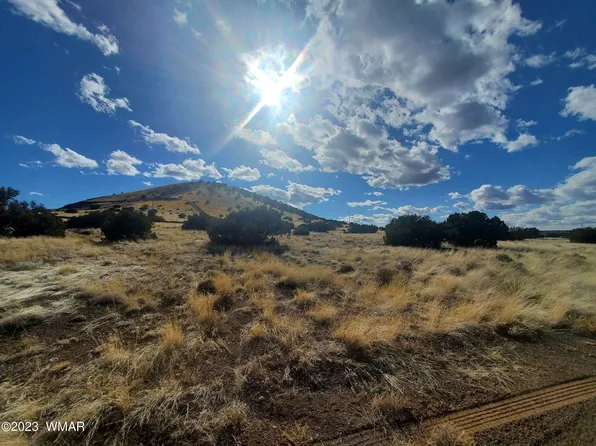 County Road 5105, Concho, AZ 85924