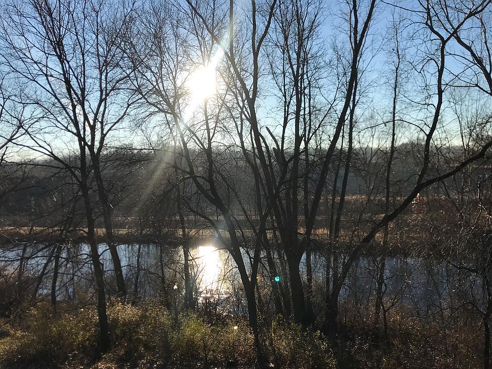Balcony View, Natural Area
