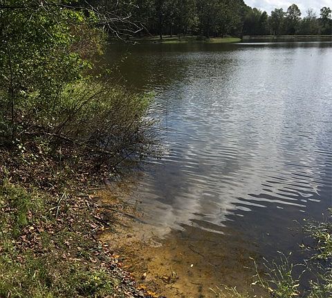 3rd image of 70 Walker Lake Dr