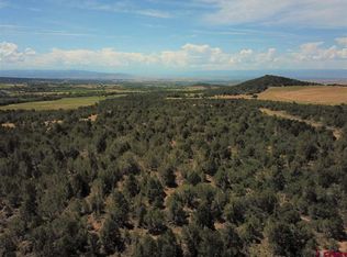 22458 Uintah Rd, Cedaredge, CO 81413