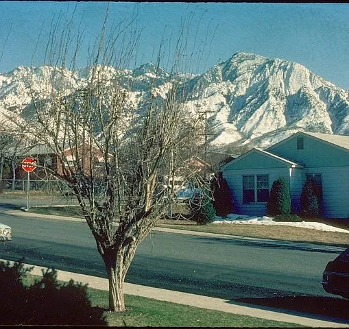New, New, New! Canyon Rim / E. Millcreek Area. Location, Location, Location! — Photo 4