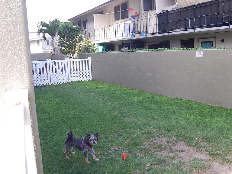 711 Wailepo Pl #303 — Photo 25