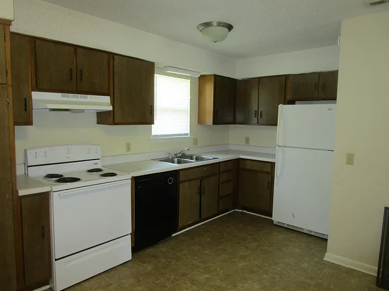 251 Rast St — Photo 12