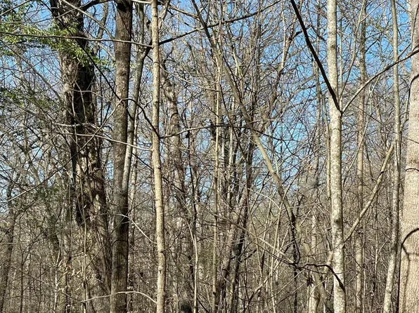 Ridge St, White Pine, TN 37890