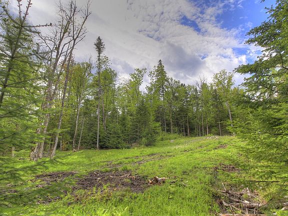 3rd image of LOT 19 Herr Trail Trail