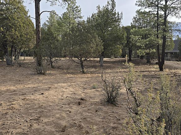3rd image of 2218 Mountain Lion Ln