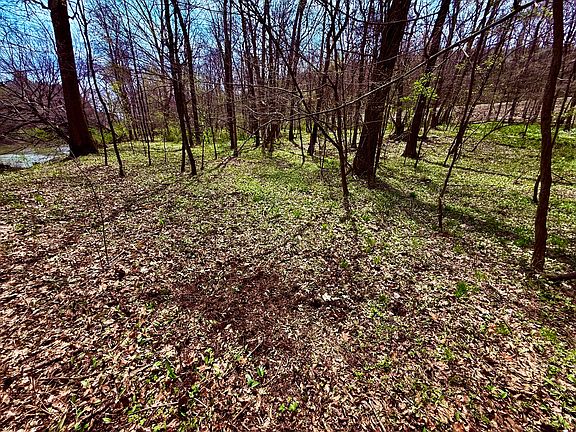 2nd image of Miller Rd