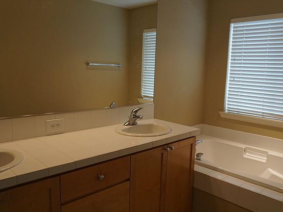 Master vanity and tub