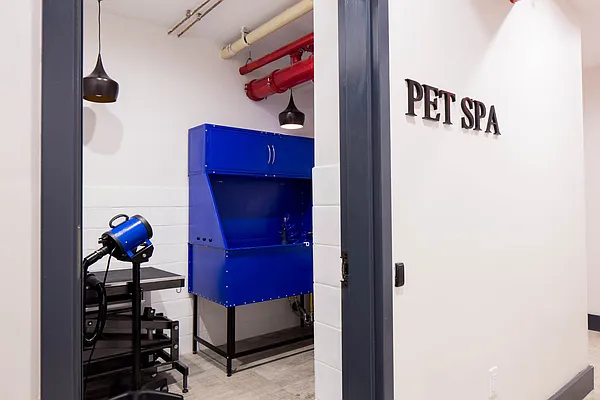 Rented by Nooklyn NYC LLC | media 19