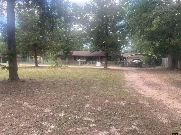 976 E Water Tower Rd, Big Sandy, TX 75755