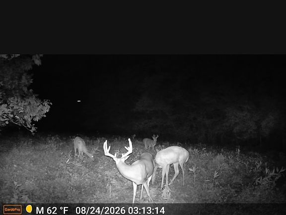 3rd image of 71 Three Lick Rd