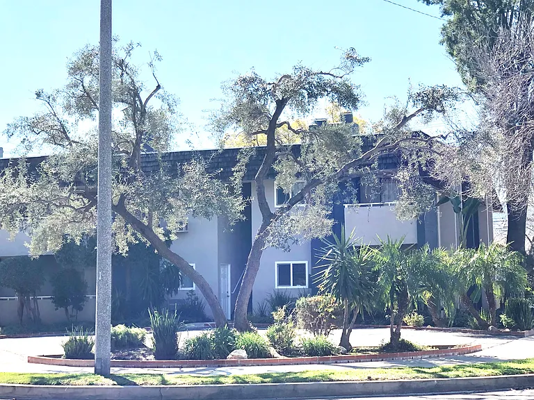 Ash Ave — Photo 27