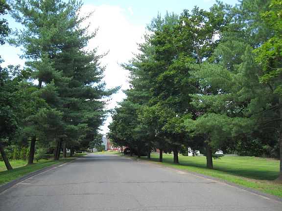 Landscaped entryway