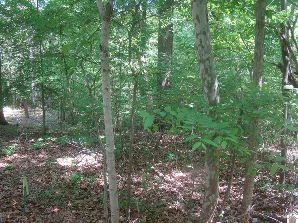 252 Rockcastle Lakeshore Dr, Cadiz, KY 42211