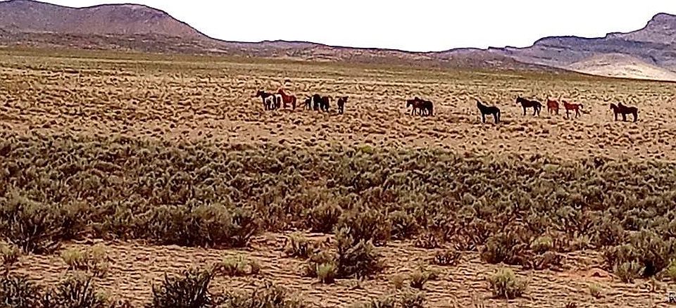 1st image of 40 acres County Rd 27