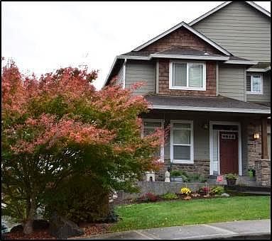 Mature Garden Front Of House