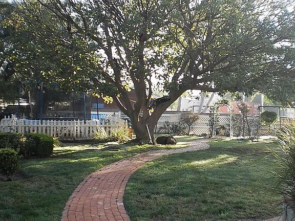 Meander through the back yard!