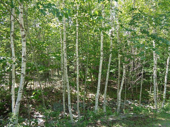 3rd image of Lot20-20 Bailey Mountain Road