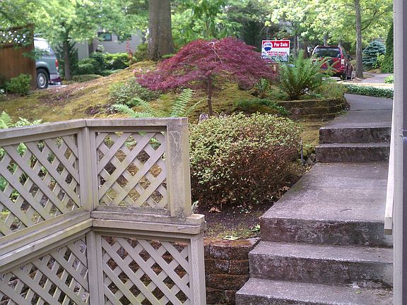 view looking back up