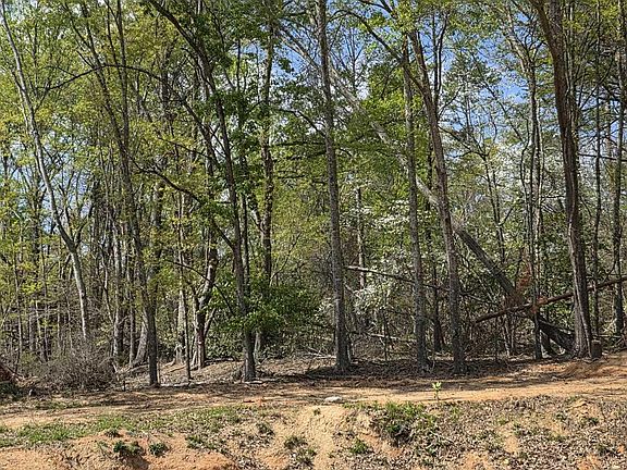 5th image of 0 Dalton Rd