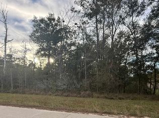 325 Talpa Trl, Lumberton, TX 77657