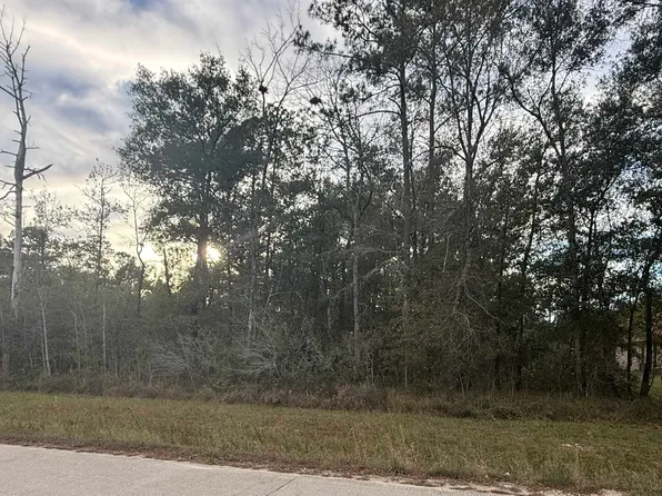 325 Talpa Trl, Lumberton, TX 77657