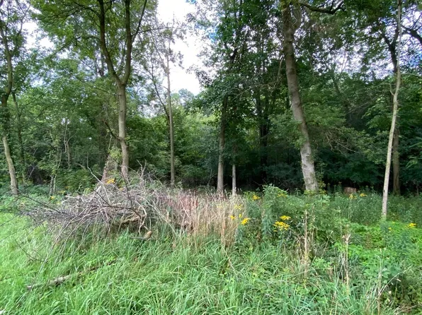 V/l Short St, Owosso, MI 48867