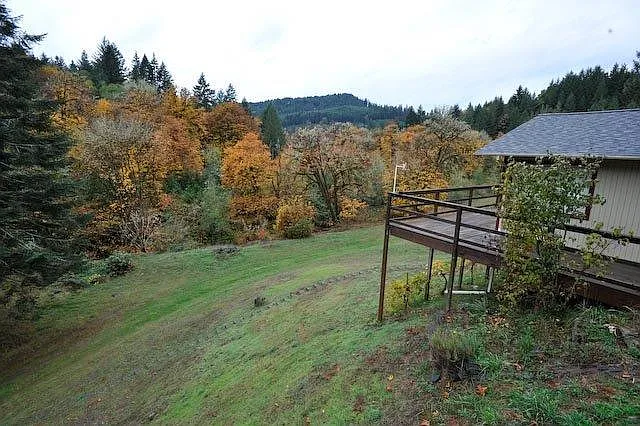 561 Paradise Creek Rd — Photo 2