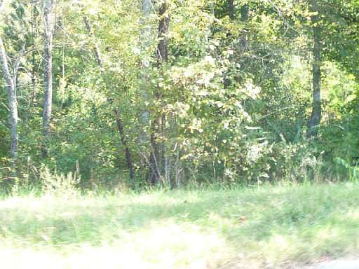2nd image of 285 Amy Clegg Dr