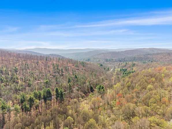 Dix Run Rd, Julian, PA 16844