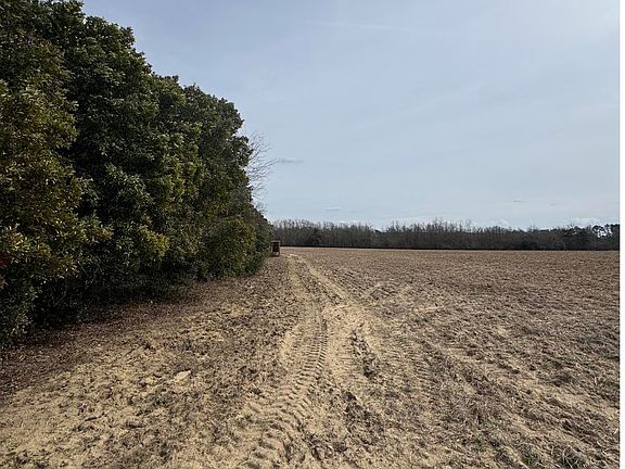 4th image of Firetower Rd