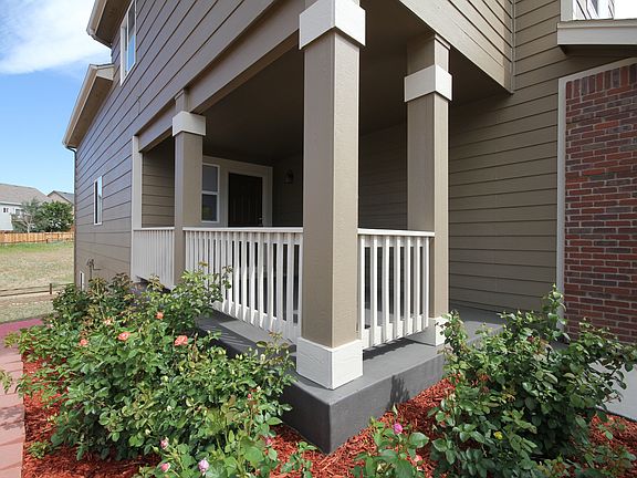 Front Porch with Rose Bushes