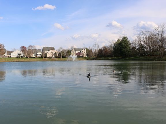 Backyard view