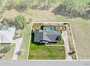 390 E Falconry Ct, Hernando, FL 34442