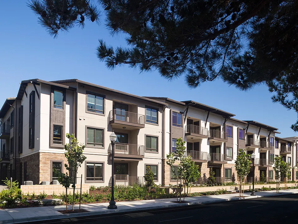 Anton 1101 Apartments