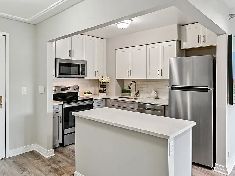 401 E Ontario St #3604 — Photo 5
